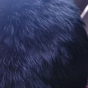 Meet your Posher, Glenn